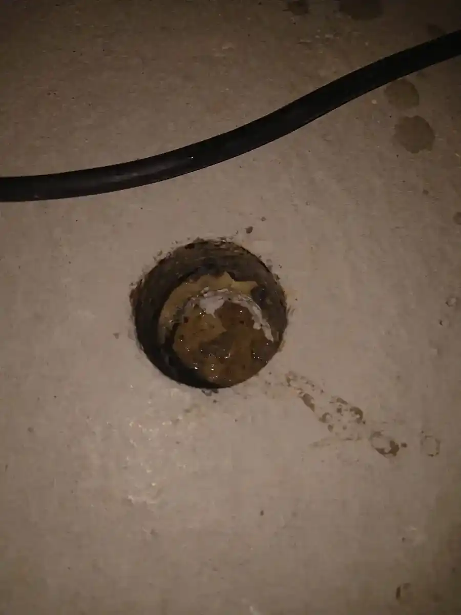 Dämmschicht Desinfektion Augsburg kontaminiert vor der Behandlung