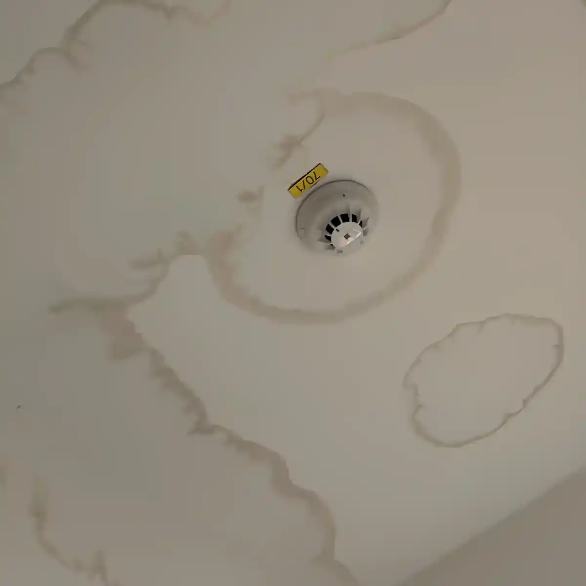 Leckortung Bürogebäude Gewerbeimmobilien München professionell