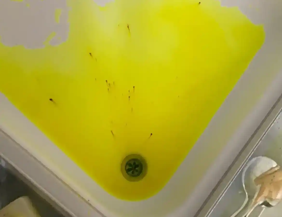 Tracergas Prüfgas Verfahren Leckortung München Detektor präzise