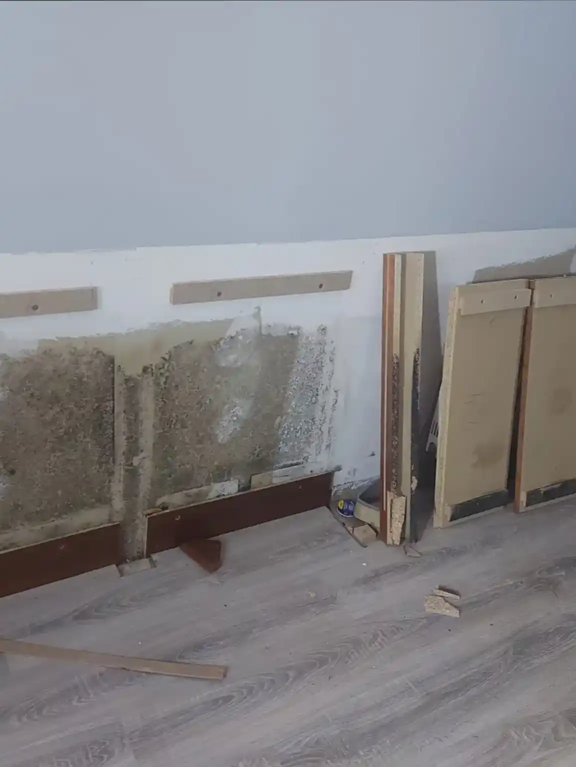 Schimmelbildung Feuchteschaden durch Wasserleck München