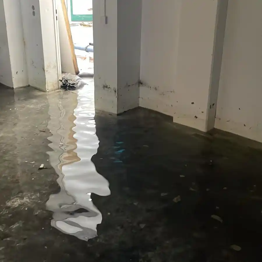 Wasserschaden München – Sanierung nach Elementarschäden durch Starkregen und Überschwemmungen